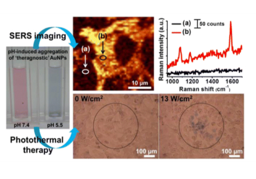 Theragnostic pH-Sensitive Gold Nanoparticles for the Selective Surface Enhanced Raman Scattering and Photothermal Cancer Therapy