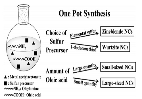 Simultaneous phase and size control in the synthesis of Cu2SnS3 and Cu2ZnSnS4 nanocrystals