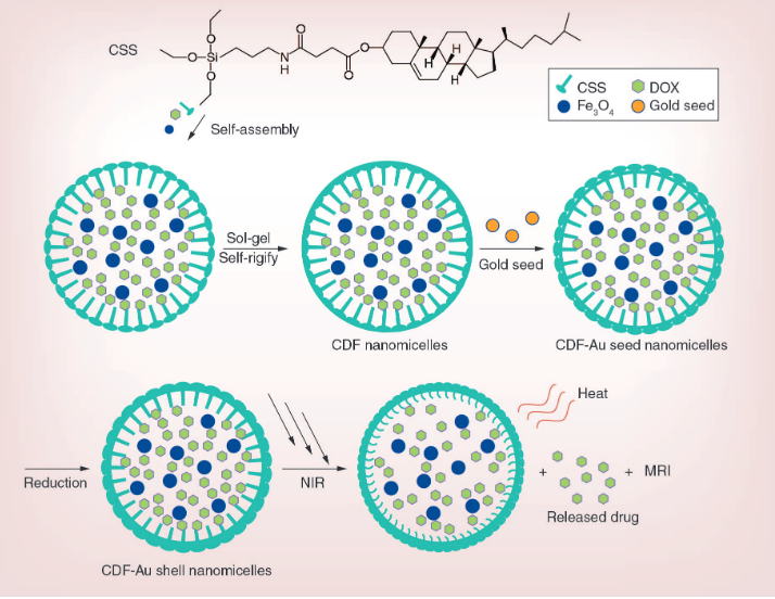 Gold nanoparticle-mediated photothermal therapy: current status and future perspective
