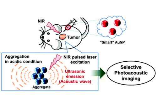 ‘‘Smart’’ gold nanoparticles for photoacoustic imaging: an imaging contrast agent responsive to the cancer microenvironment and signal amplification via pH-induced aggregation