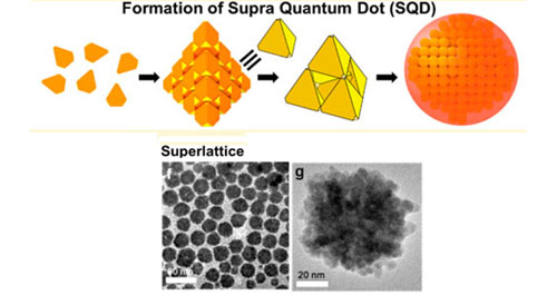 Formation and Stepwise Self-Assembly of Cadmium Chalcogenide Nanocrystals to Colloidal Supra-Quantum Dots and the Superlattices