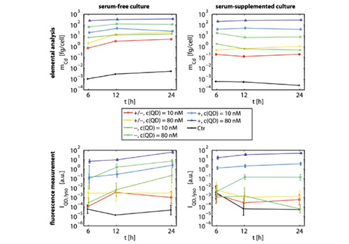 Zwitterionic surface coating of quantum dots reduces protein adsorption and cellular uptake