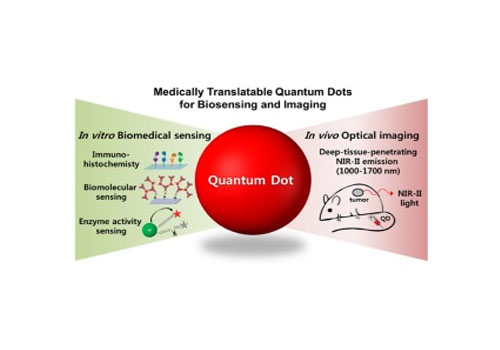 Medically Translatable Quantum Dots for Biosensing and Imaging