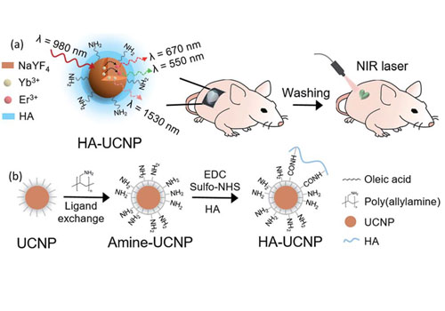 Hyaluronate modified upconversion nanoparticles for near infrared light-triggered on–off tattoo systems
