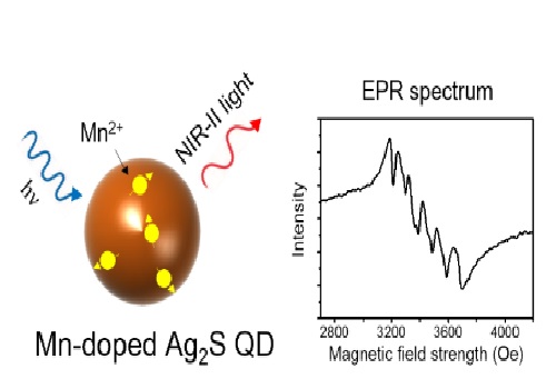 Colloidal Second-Near-infrared-emitting Mn-doped Ag2S Quantum Dots