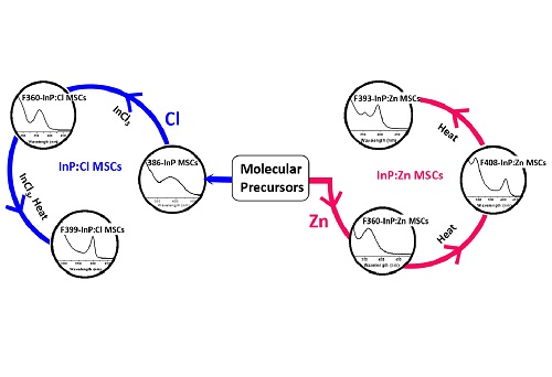 Evolution from unimolecular to colloidal-quantum-dot-like character in chlorine or zinc incorporated InP magic size clusters