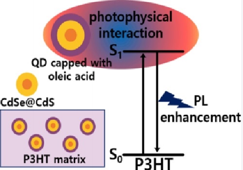 Augmented Photoluminescence in a Conjugated Polymer by the Incorporation of CdSe/CdS Quantum Dots