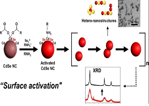 Coalescence of colloidal cadmium chalcogenide nanocrystals by controlled stripping of the surface ligands