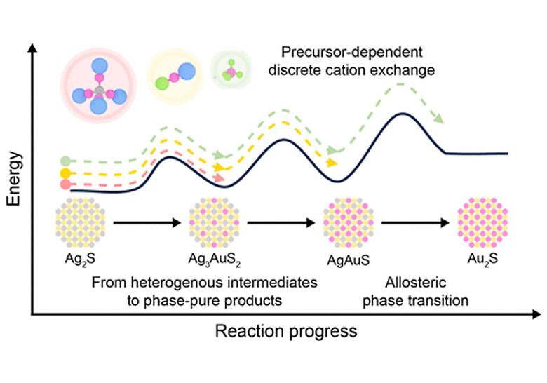 Discrete Cation Exchange in AgAuS Quantum Dots Using Reactivity Engineered Cation Precursors