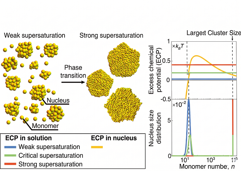 Supersaturation, Nucleation, and Phase Separation of Mesoscopic Systems