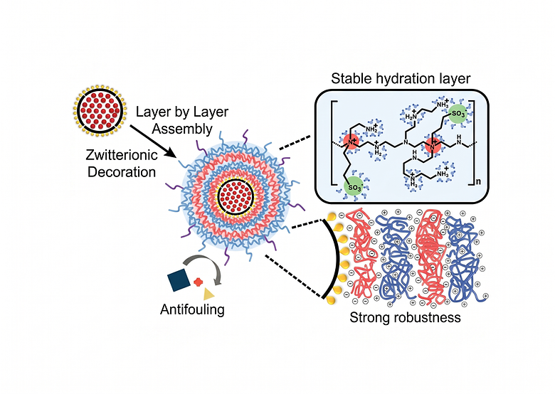 Quantum Dot Composite Colloids with Layer-by-Layer Shells: Biological Self-Assemblies for Signal Amplified Detection